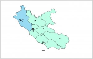 allerta